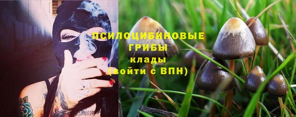 стафф Алексеевка